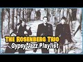 [10곡이어듣기] The Rosenberg Trio Gypsy Jazz Playlist