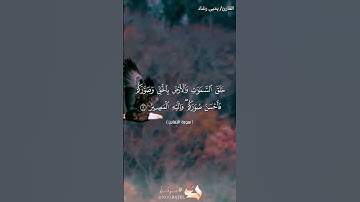 تلاوة عطرة لما تيسر من سورة التغابن بصوت القارئ يحيى رشاد #quran #quraan #quranquotes #قرآن #tiktok