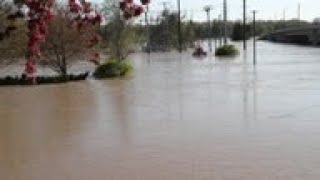Residents gather to watch Michigan flooding