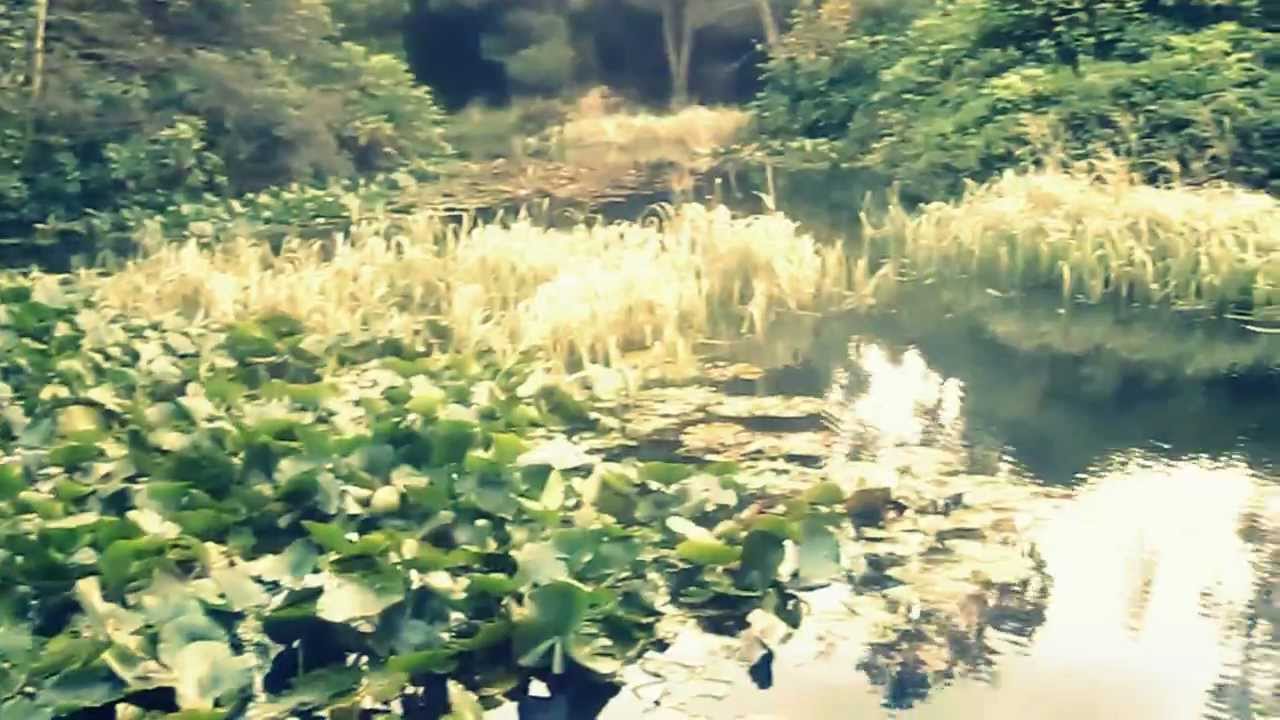 Rosshall Park Pond Glasgow (STS 071)