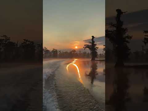 No filter needed for this. It’s a shame that everyone can’t experience my Louisiana