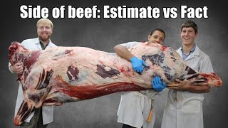 Fact vs Estimate: How much Meat from a side of 1251 lb. Grain Fed Beef (Also How Beef R like People)