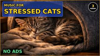 🔴 LIVE 24/7 Music for Stressed Cats | Quiet Recovery Den — Sleep & Anxiety Relief screenshot 3