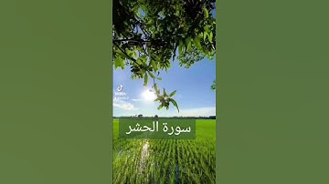 سورة الحشر #دعاء #حالات_واتس #فولو #تيك_توك #دعاءمستجاب #quran #لايك #اكسبلور #duet #دويتو # قران