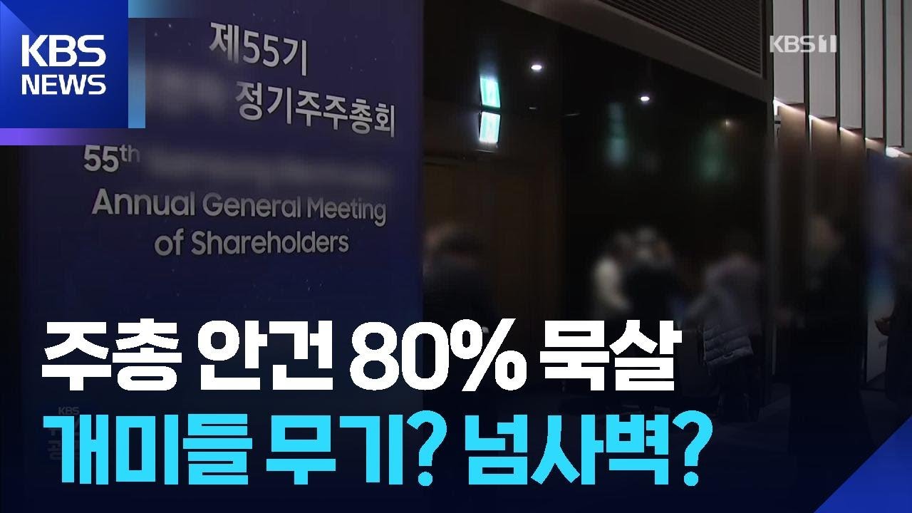 개미들의 무기, 주주제안…80% 묵살의 벽 넘으려면? / KBS  2026.03.26.