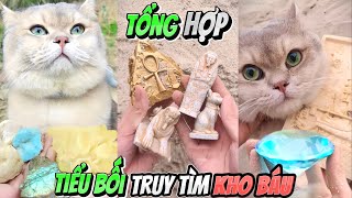 Treasure Hunting Cat Collection | Amethyst Gemstone..(Quynh Vit) screenshot 1