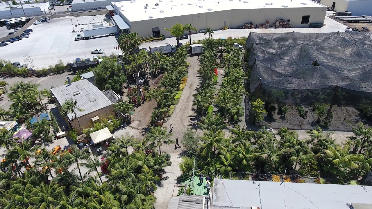 Instant Jungle International- Drone Video 2