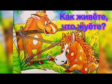 Мультфильм. Как живёте, что жуёте?