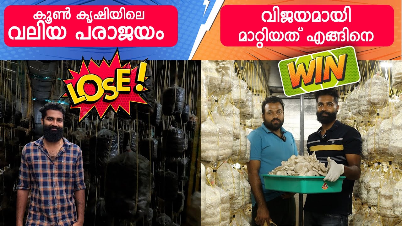 കൂൺ കൃഷി ബിസിനസ് ചെയ്തു വരുമാനം ഉണ്ടാക്കാം (How to Start a High Tech Mushroom Farming Business)