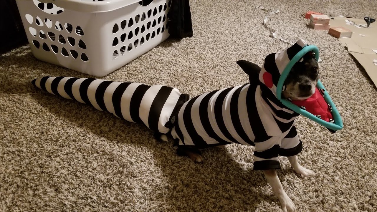 Beetlejuice worm costume