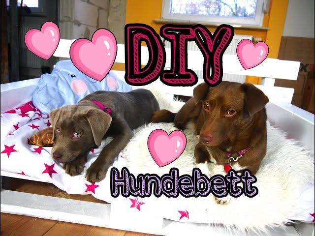 DIY Hundebett aus Paletten - YouTube