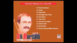 Düşen Bilir / Aşık Ali Nurşani Resimi