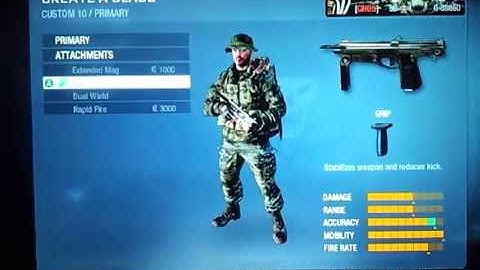 PM63 Black ops Best class setup!