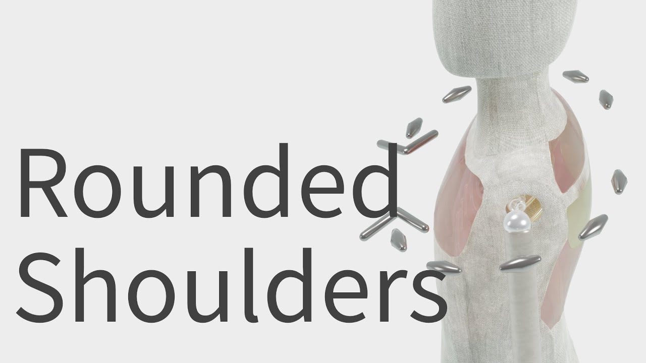 Rounded shoulders, Common Muscle Imbalances. Back｜Chest YouTube