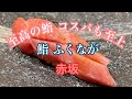 至高の鮨 コスパも至上【鮨 ふくなが】