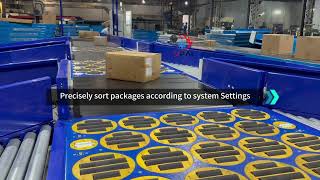 Efficient balance wheel sorting system