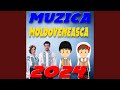 Mixaj  muzica de petrecere 2024