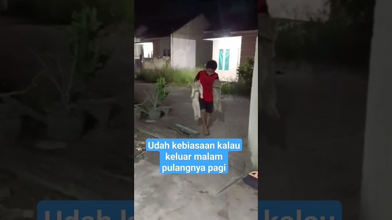 malam ni di jemput paksa 