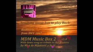 Teaching Music Box to Play Bach (Badinerie) - by Mica de Mijatovic y Senic