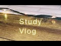 Vlog | 初投稿 | 中学生になってから初めての夏休み | 夏休みの日常
