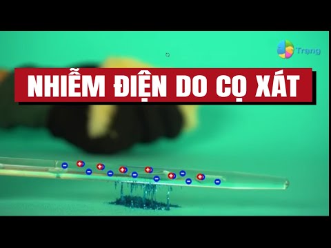 Video VẬT LÝ 7| HIỆN TƯỢNG NHIỄM ĐIỆN DO CỌ XÁT bài học thú... - youtube