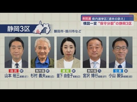 【衆院選】 週末候補者走る①裏金問題に揺れる　 静岡３区＆静岡８区