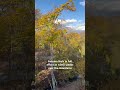 Autumn in Niseko is short and sweet… winter days aren’t far away 🥶 🍁 ⛄️ #autumn #nature #niseko