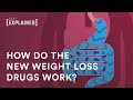 If you’re on GLP-1 drugs and plan to fast for Yom Kippur, here’s what you need to know
