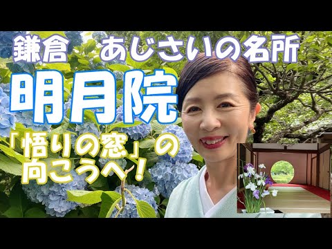 【鎌倉 明月院】あじさいの名所!明月院ブルーを満喫!大宇宙とつながる「悟りの窓」とは!?北鎌倉のおいしいおむすび屋さんも♪