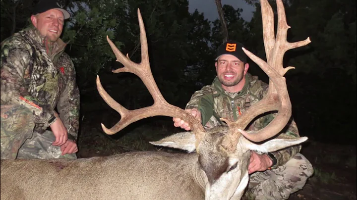 200 + mule deer Taken in southern utah