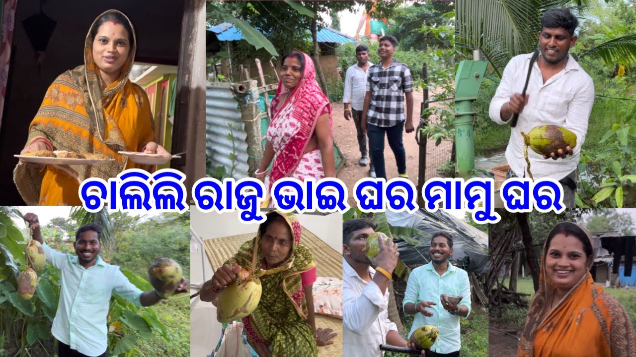ଚାଲିଲୁ ଭାଉଜଙ୍କ ମାମୁଁ ଘର@lifeofsridhar9099 