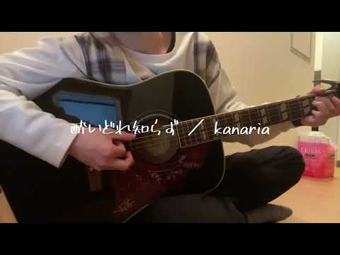【弾き語り】酔いどれ知らず／kanaria【コード】