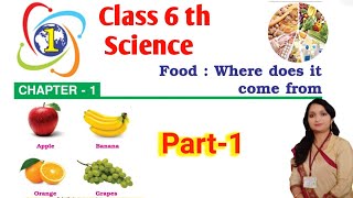 Class 6 Science l Food ; Where Does it Come From ll PSEB ll Explain Part-1 Wealth