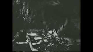 Port Sinister (Beast Of Paradise Isle) (Harold Daniels, EEUU, 1953)