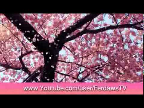 اذان مشاري العفاسي بصوت عجيب خشوع حتى في الاذان YouTube