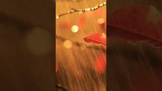 Autumn Rain 396Hz Deep Meditation Relax Music 528Hz