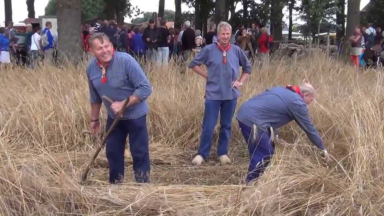 oogstdag Lhee (Drenthe)