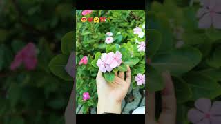 #ytshorts #song #handshorts #love #handart #flowers #filterchallenge #viralshorts