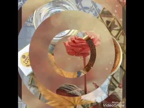 وائل جسار الدنيا علمتني من اروع واجل الاغاني