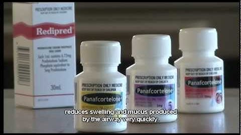 Preventers - Prednisolone, Prednisone, Predmix, Redipred