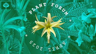 Spring Plant Forum - April 2025 by the Southern California Horticultural Society