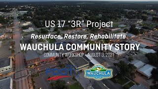 Wauchula Community Vision for US 17