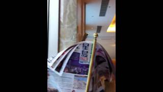 Lake Silvers Club House