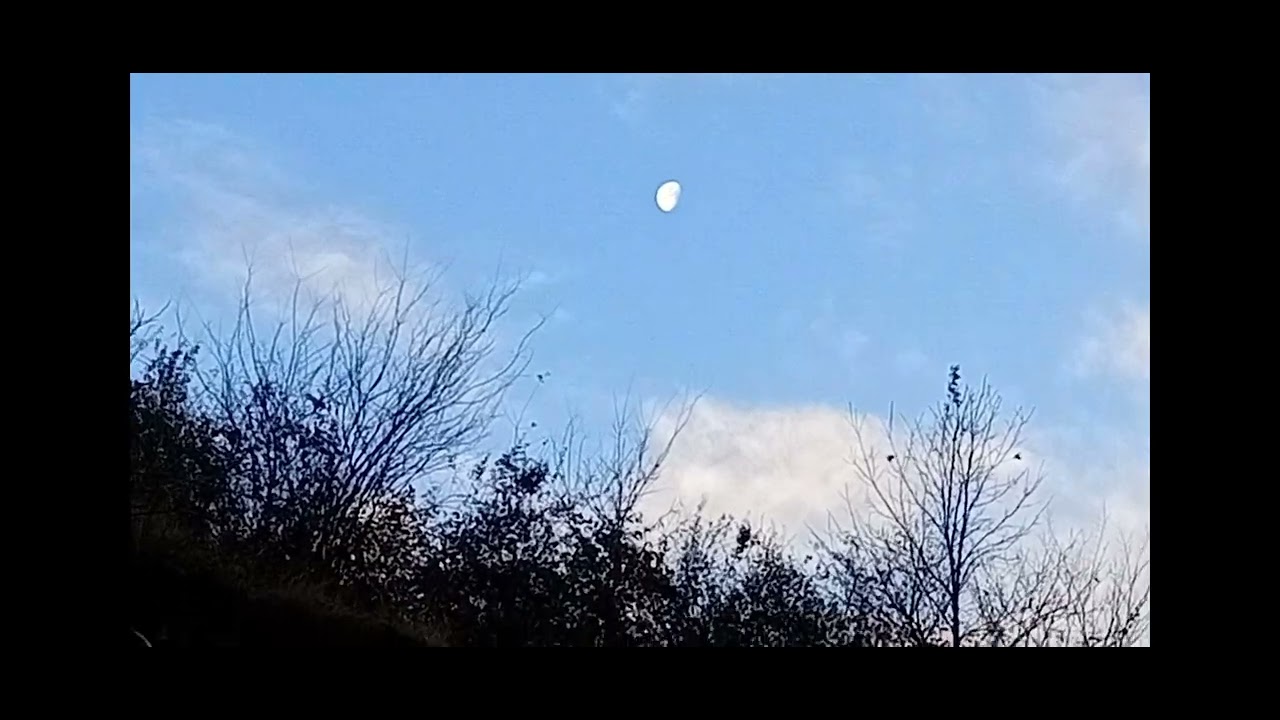 نفس  سبز صبحگاهی با صدای  رود.#طبیعت #رود#آرامش