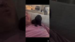 Teaching A Puppy To Howl... So Far So Good #aww #shorts