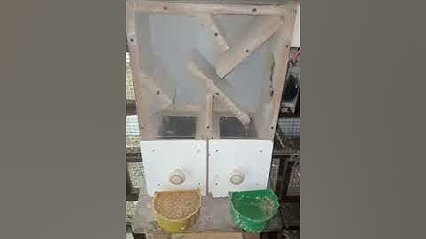 Bird Seed Cleaning Machine Low Budget High Performance