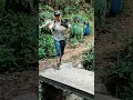 Harvesting Tiger Grass