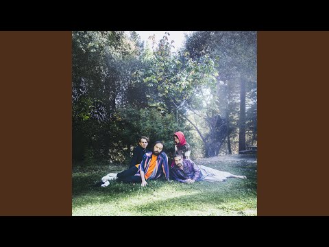 Putar From - Big Thief
