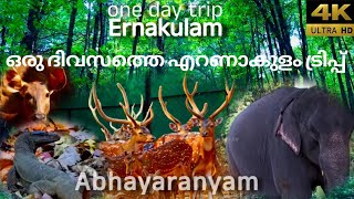 അഭയാരണ്യം | Abhayaranyam | Kaprikad Eco Tourism | Ernakulam tourist place | Kodanadu | March 2023
