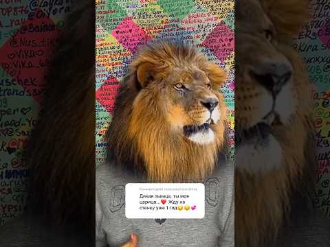 Дикая львица на стене